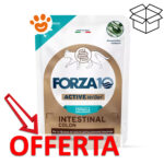 forza10-cat-active-intestinal-colon-in-patè-mp