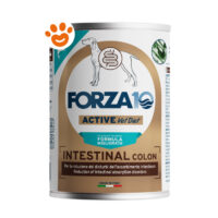 Forza10 Dog Intestinal Colon Active Agnello