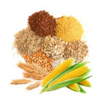 prodac-goldfish-flakes-1