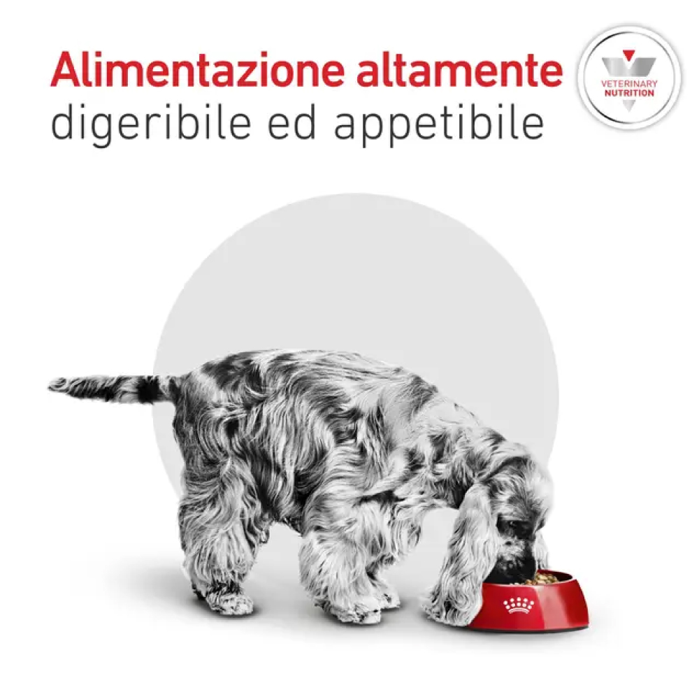 royal-canin-dog-veterinary-diet-glycobalance-diabetic-small-2