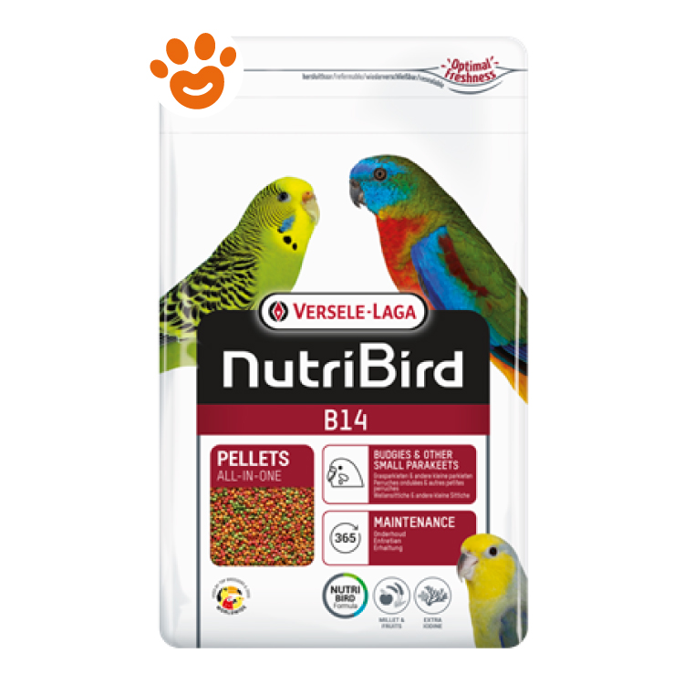 versele-nutribird-b14-per-parrocchetti-e-altri-piccoli-parrocchetti