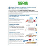 necon-dog-adult-natural-wellness-mini-pork-rice-gallery-2