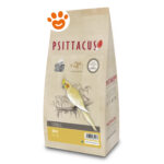 psittacus-mantenimento-mini-per-piccoli-uccelli