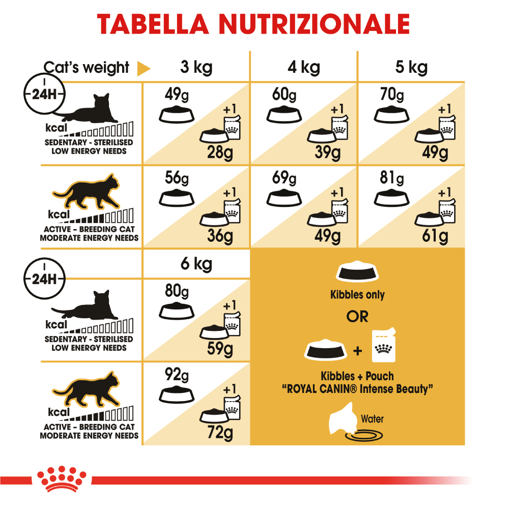 royal-canin-fbn-cat-adult-sphynx-gallery-2