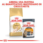 royal-canin-fbn-cat-adult-sphynx-gallery-3