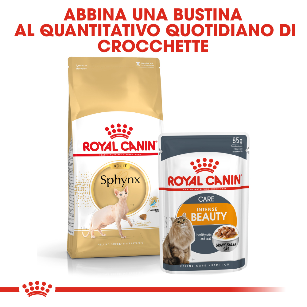 royal-canin-fbn-cat-adult-sphynx-gallery-3