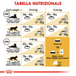 royal-canin-fbn-cat-ragdoll-gallery-2