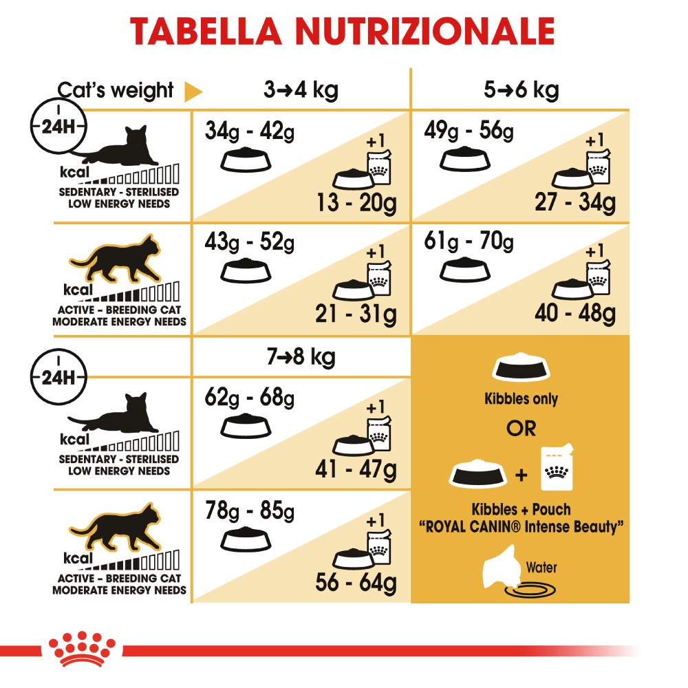 royal-canin-fbn-cat-ragdoll-gallery-2