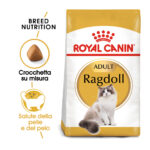 royal-canin-fbn-cat-ragdoll-gallery-7