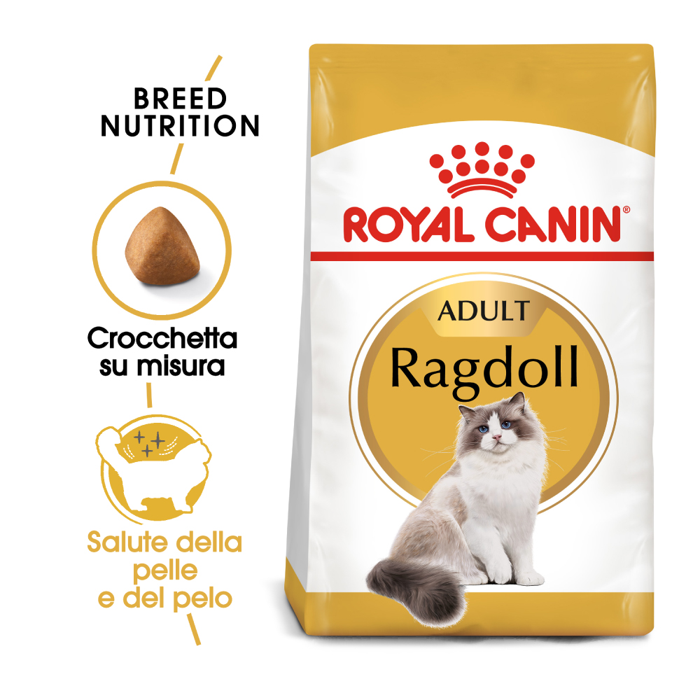 royal-canin-fbn-cat-ragdoll-gallery-7