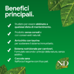 Infografica verde sui principali benefici di alimento per animali