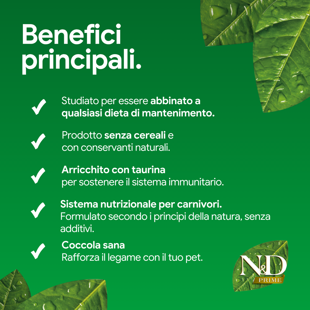 Infografica verde sui principali benefici di alimento per animali