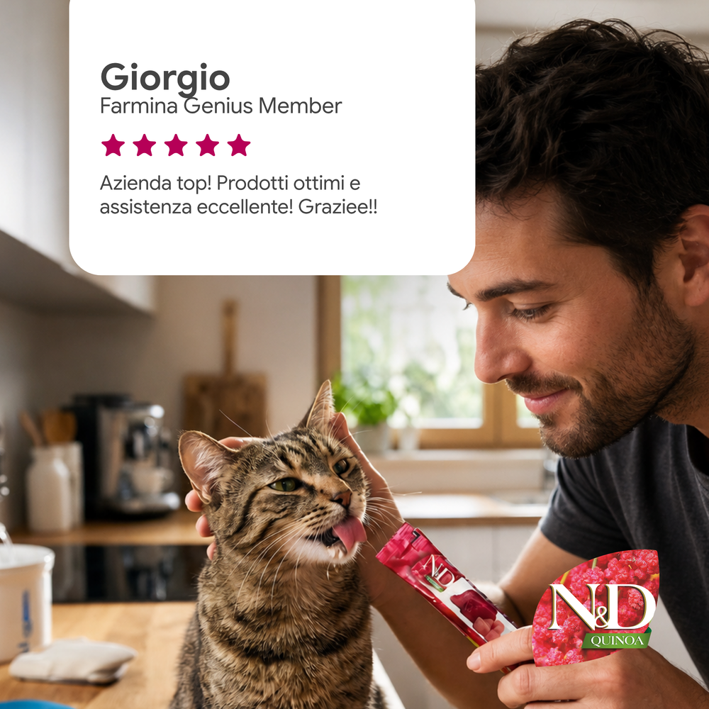 Uomo nutre un gatto con snack N&D Quinoa