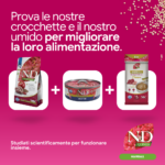 Crocchette e umido N&D Quinoa Hairball per gatti
