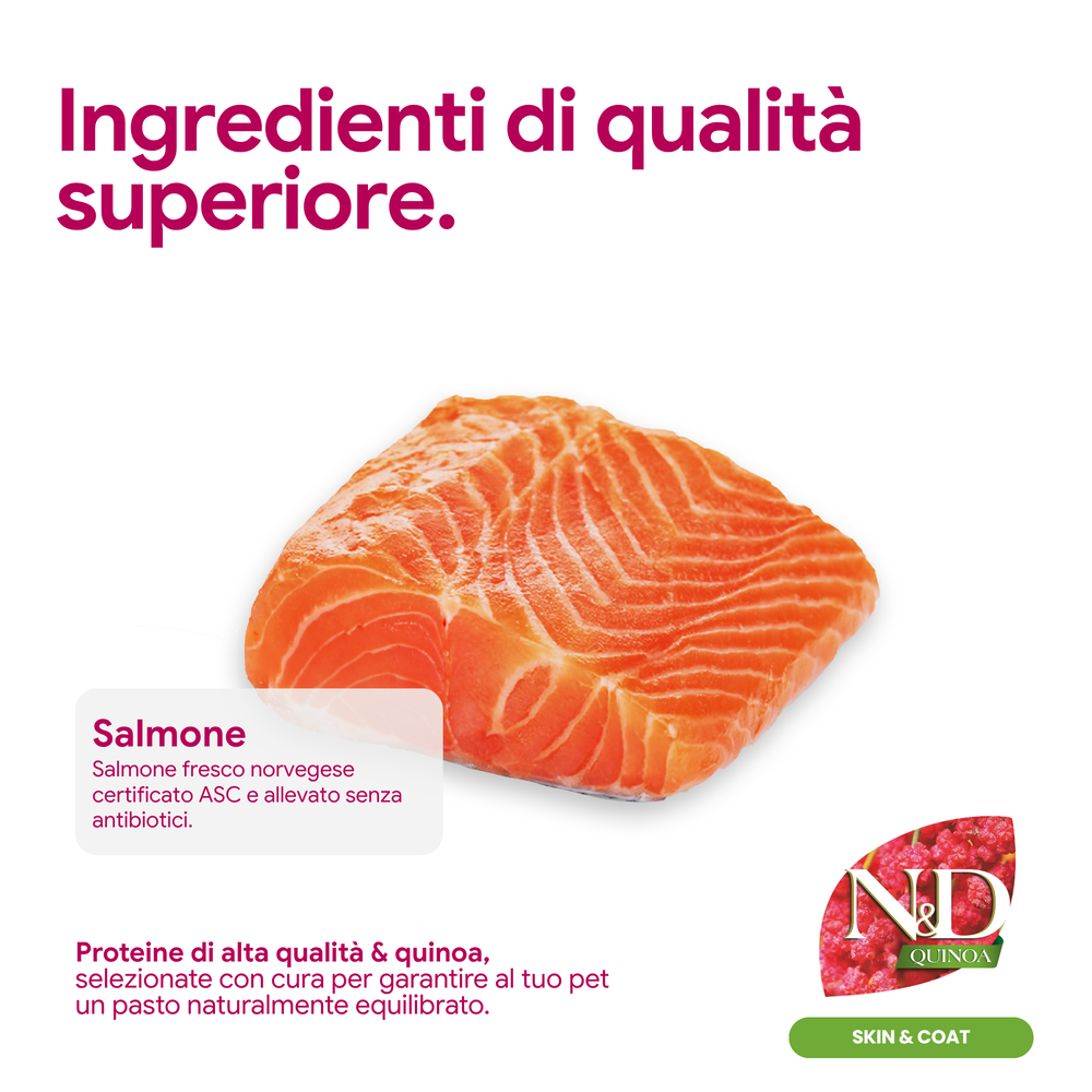 Filetto di salmone fresco per alimentazione animale