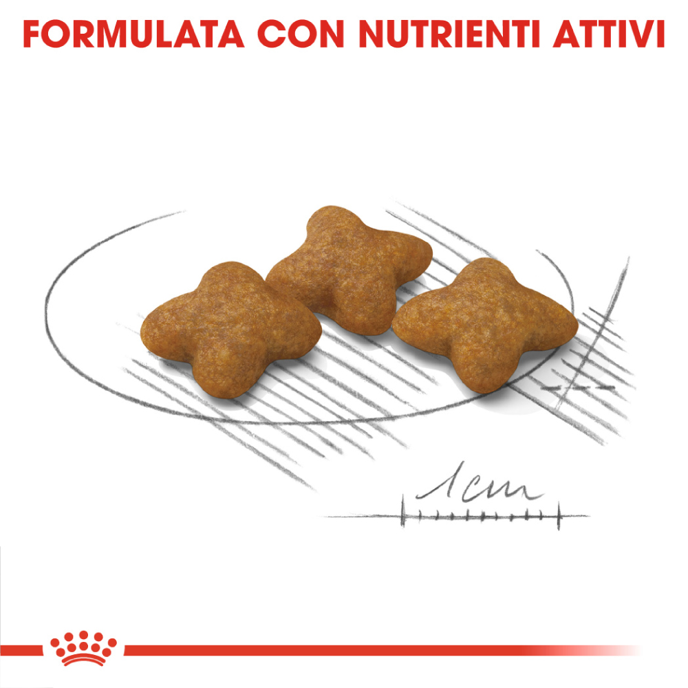 Crocchette per animali con nutrienti attivi