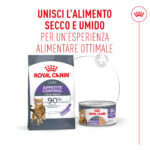 Cibo gatto Royal Canin secco e umido