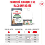 Tabella quantità giornaliere Royal Canin Digestive Care gatto