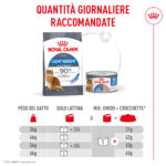 Quantità giornaliere raccomandate Royal Canin gatto
