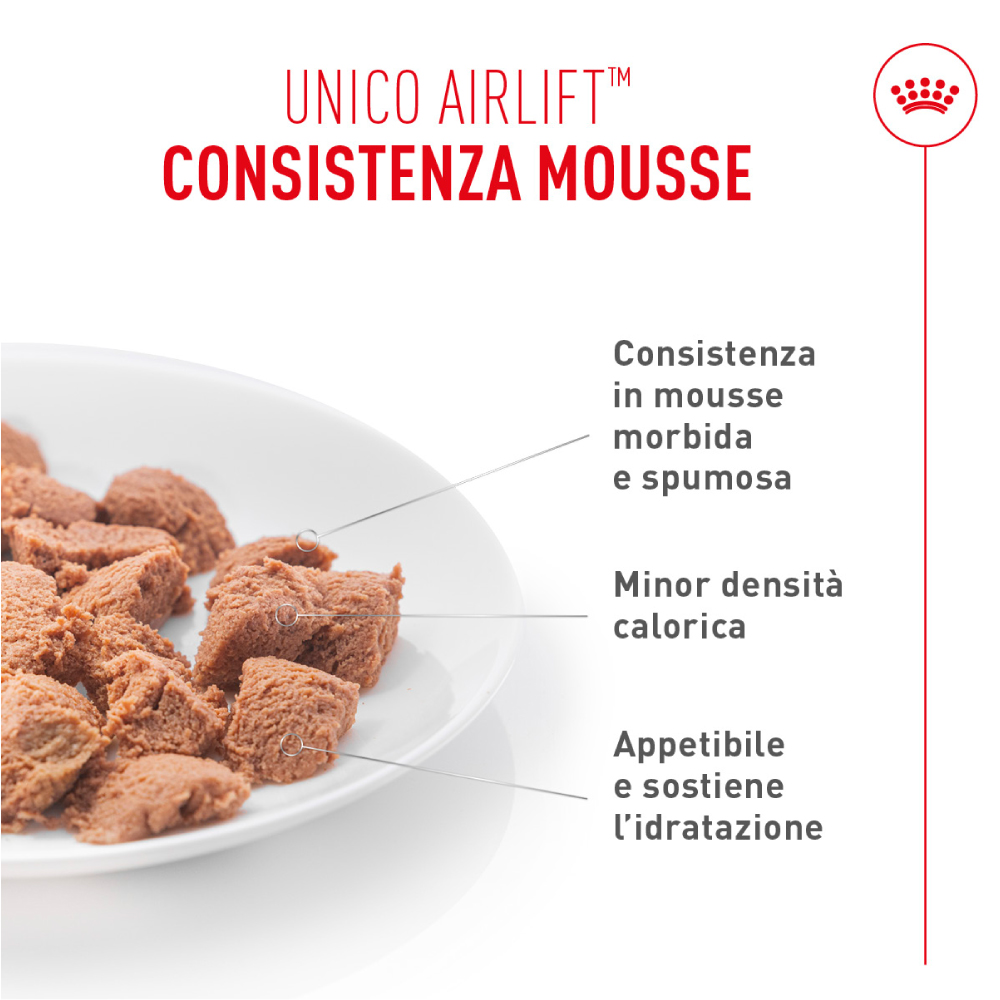 Bocconcini di alimento mousse su piatto bianco