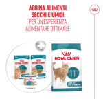 Alimenti Royal Canin 11+ per gatti senior
