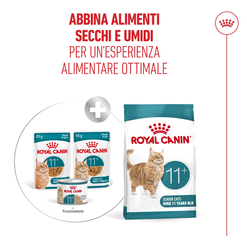 Alimenti Royal Canin 11+ per gatti senior