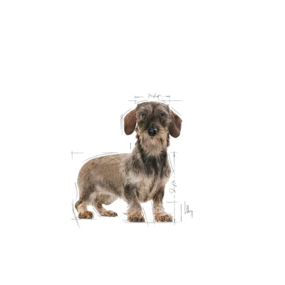 royal-canin-shn-dog-x-small-adult-light-weight-care-gallery-2