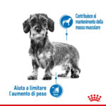 royal-canin-shn-dog-x-small-adult-light-weight-care-gallery-3