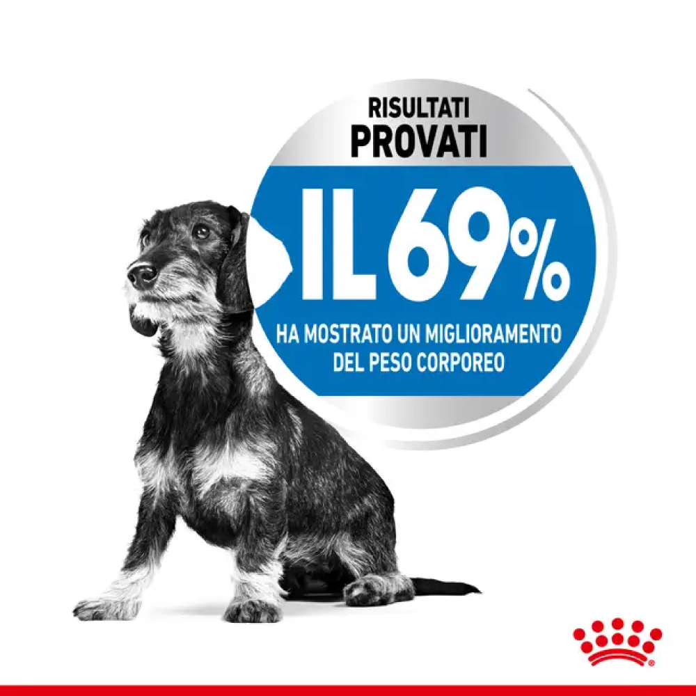 royal-canin-shn-dog-x-small-adult-light-weight-care-gallery-4