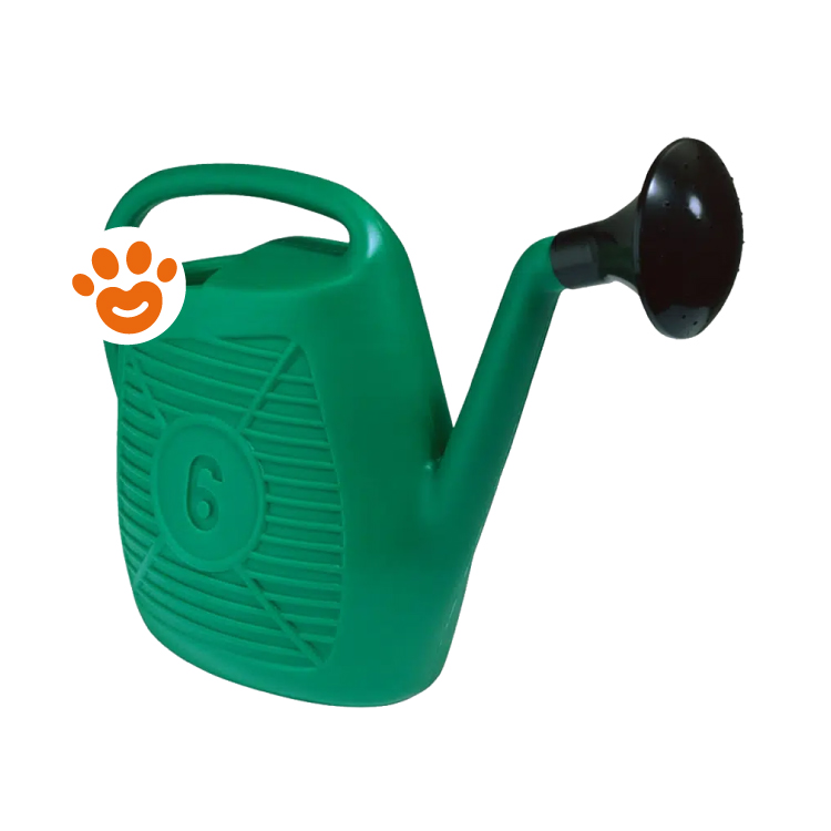Annaffiatoio verde in plastica con beccuccio nero