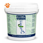 Secchio di creta verde veterinaria per cavalli