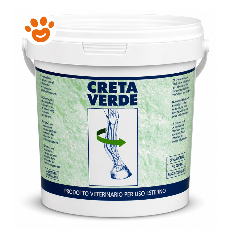 Secchio di creta verde veterinaria per cavalli
