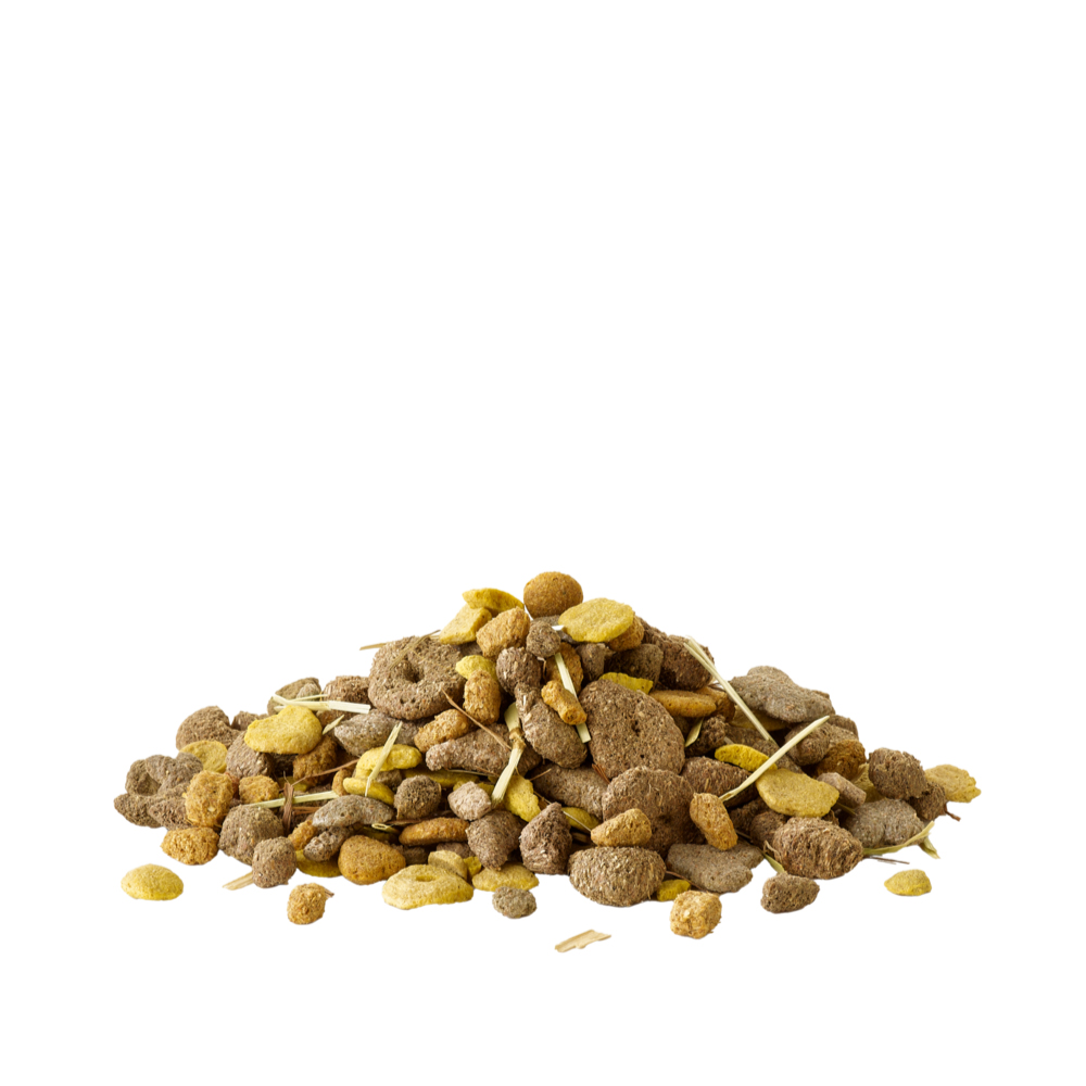 Mucchio di mangime misto per roditori