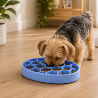 Cane piccolo mangia da ciotola anti-ingozzamento blu