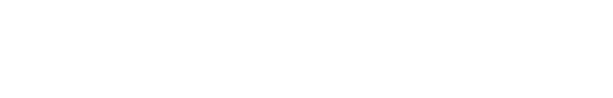 Logo IMAGNIFIC10 con zampa nel numero zero