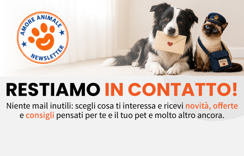Cane e gatto con busta newsletter
