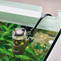 Filtro esterno per acquario con piante verdi