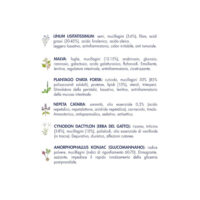 Elenco piante officinali con proprietà e illustrazioni botaniche