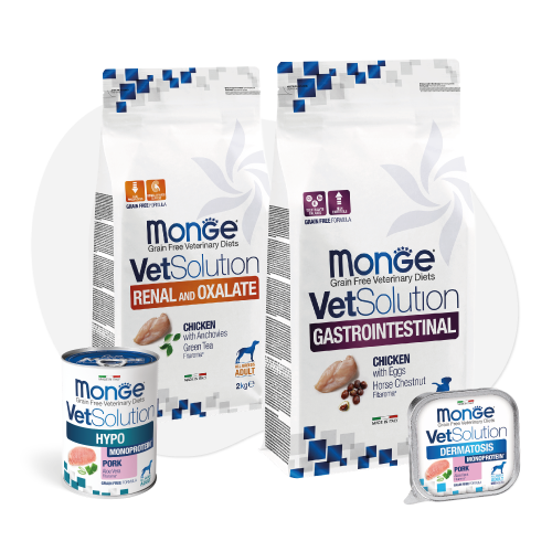Linea Monge VetSolution alimenti veterinari per cani