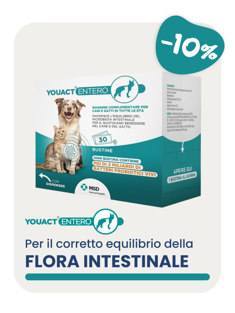Confezione YOUACT ENTERO per cani e gatti