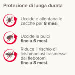 Protezione antiparassitaria contro zecche, pulci e flebotomi
