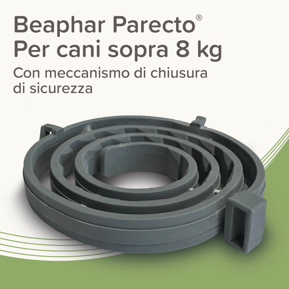 Collare antiparassitario Beaphar Parecto per cani oltre 8 kg