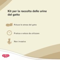 Kit raccolta urine gatto non invasivo