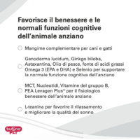 Integratore per benessere cognitivo animale anziano