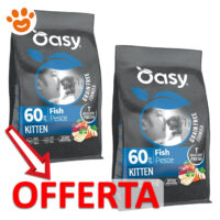 Offerta crocchette Oasy Kitten pesce grain free