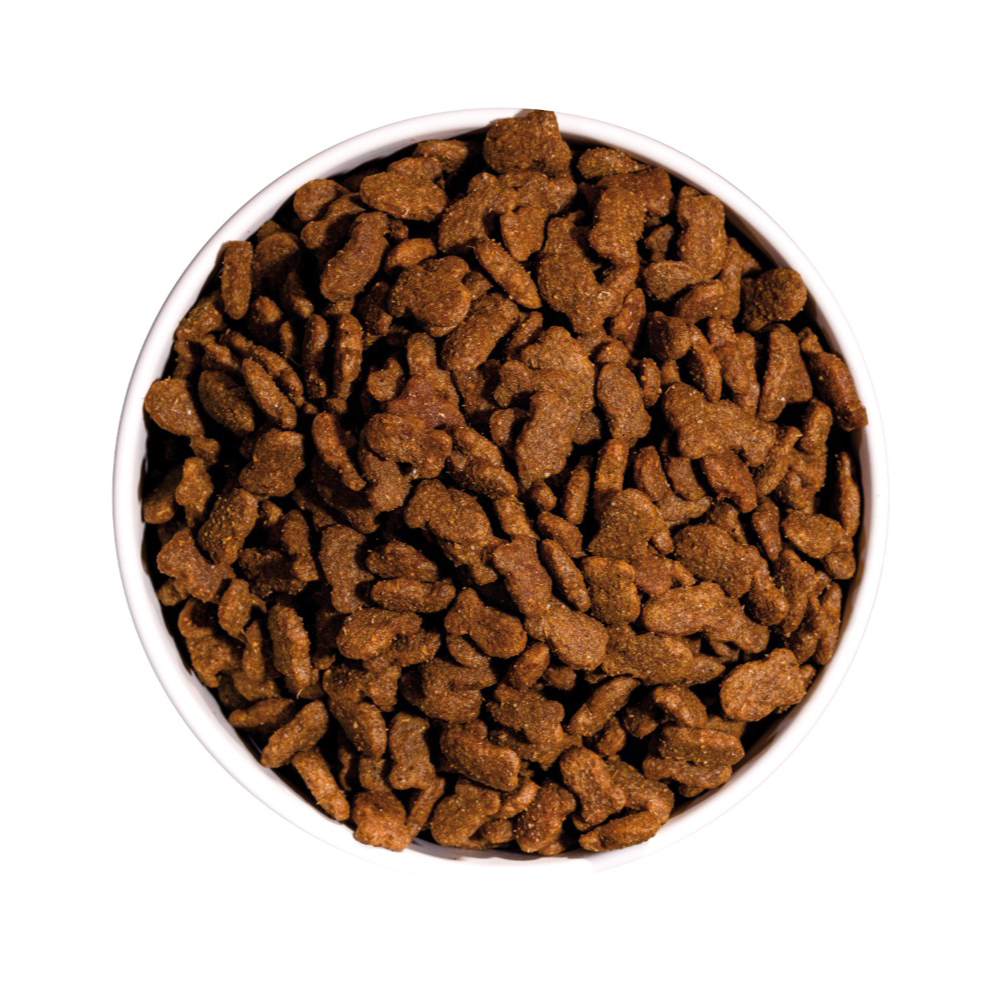 Ciotola di crocchette per cani vista dall'alto