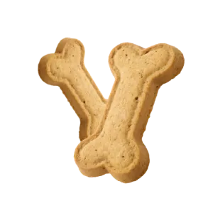 Due biscotti per cani a forma di osso