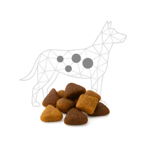 Crocchette di cibo secco davanti a cane stilizzato