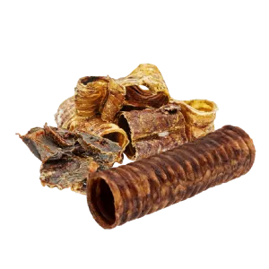 Assortimento di ossa e masticativi naturali per cani
