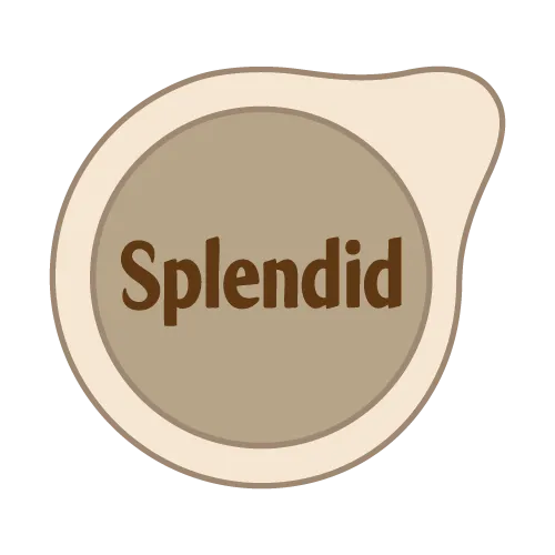Logo Splendid su emblema beige stilizzato